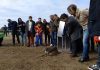 Se sueltan en el Guarrizas dos ejemplares de lince ibérico de las siete previstas para este año en Andalucía
