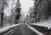 Nevando en la Sierra de Cazorla