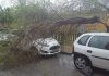 Las rachas de viento obligan a diversas intervenciones de los Bomberos en Jaén