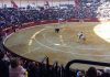 Éxito de público y trofeos en la corrida de la AA CC celebrada en Jaén
