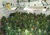 La Guardia Civil detiene a 20 personas e investiga a 41 por robo de mercancía en camiones y tráfico de drogas