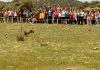 Medio Ambiente libera un nuevo lince ibérico con la participación de escolares en la zona del Guarrizas en Vilches