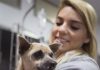 Parlamentarios animalistas reclaman una reducción del IVA para los servicios veterinarios