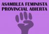 Asamblea de Acción Feminista en Linares