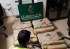 La Guardia Civil interviene 250 kilos de hachís en un control en la A-4