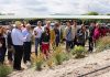 La Universidad de Jaén conmemora el Día Mundial del Medio Ambiente con talleres de plantas aromáticas y una exposición de macrofotografía en la naturaleza