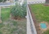 IU denuncia el uso de herbicidas en espacios de proximidad de parques infantiles