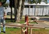 El Ayuntamiento de La Carolina acondiciona la zona del Paseo de la Virgen en la que se han instalado distintos aparatos para la práctica del ejercicio físico al aire libre