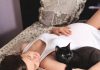 El registro de animales de compañía de Andalucía cuenta con más de 250.000 mascotas de la provincia de Jaén