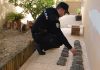 La Policía Andaluza interpone más de 500 denuncias por infracciones medioambientales