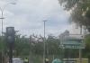 La Policía Local de Linares realiza 14 actas sobre drogas