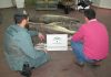 La Guardia Civil ha intervenido 258 kilogramos de Pescado no apto para el consumo