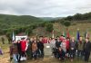 Plantación de encinas en Despeñaperros en recuerdo a los colonos de las Nuevas Poblaciones