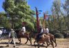 Camino hacia el Cerro