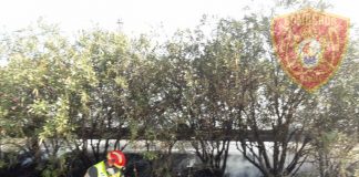 Nuevo incendio en la mediana de la autovía A4