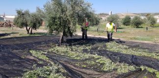 Bajada de temperaturas para hoy, sin previsiones de lluvia
