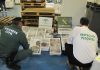 La Guardia Civil ha intervenido 311 kilos de pescado no apto para el consumo