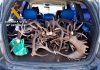 La Guardia Civil ha intervenido 69 Kilogramos de cuernas procedentes de desmogue de ciervos y gamos