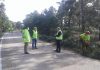 Poda 1.250 árboles en la A-6200, en Aldeaquemada, para mejorar la seguridad vial