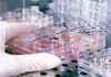 10,2 millones de euros para la contratación de personal investigador postdoctoral