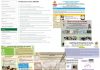 La UJA celebra en formato ‘on line’ el congreso provincial de la sexta edición del Proyecto Science IES