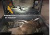 La Guardia Civil inicia un expediente a un cazador que transportaba una cría de ciervo muerto