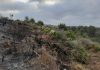 Declarado un incendio en la zona de El Centenillo