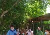 Salud y Familias celebra una jornada para cuidar la salud en el Centenillo