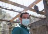 Moreno anuncia la puesta en valor del Centro de Recuperación del Quebrantahuesos en Cazorla como referente mundial
