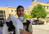 Recuperado un buitre negro perdido en Bailén