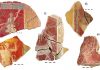 Destacan el valor de las decoraciones de Cástulo como ejemplo de la pintura del Ato Imperio Romano