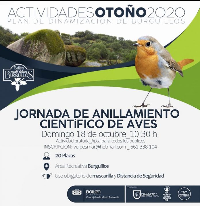 Bailen, anillamiento