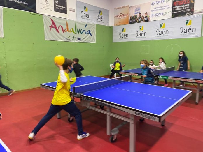 Tenis de mesa. Linares. concentración andaluza.