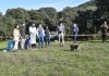 La Junta suelta en Guarromán dos ejemplares de lince ibérico procedentes de Portugal