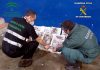 La Guardia Civil ha intervenido 24 kilogramos de merluza inmadura en el polígono del Guadiel