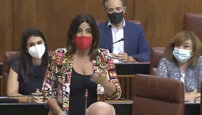 Ángeles Férriz en el Parlamento