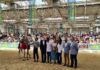 «VM Señorito” de la Yeguada Vega Molinero, se alza con el título en el XXXI Campeonato de Andalucía de Caballos de PRE