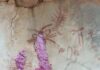 Condena por el atentado sobre pinturas rupestres de Despeñaperros