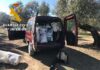 La Guardia Civil investiga a 12 personas presuntas autoras de hurto de aceituna