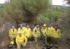 Sofocado el incendio en Andújar en la zona de La Alcaparrosa