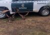 La Guardia Civil Investiga a una persona de Andújar como presunta autora de un delito de furtivismo