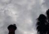 Los Poetas de Bailén destinarán su cuota anual a ayuda a los damnificados de los terremotos de Turquía y Siria