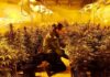 Detenidos dos jóvenes de Jabalquinto como presuntos autores de un delito de plantación ilegal de marihuana