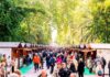 Diputación subraya el gran éxito de público y ventas de la Fiesta del Primer Aceite celebrada en Linares