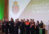 José Esteban Durillo, Medalla de Plata al Mérito de Protección Civil de Andalucía
