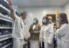 El Hospital de Linares incorpora dos sistemas automáticos para dispensar medicamentos
