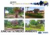 Junio, mes de medio ambiente