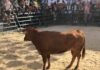 Fiestas de Santiago de Arquillos