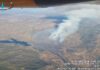 El incendio de Andújar amenaza al Lince Ibérico