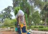Trabajos de embellecimiento en el Parque Eduardo Carvajal